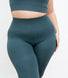 Ultimate High Waisted Seamless Leggings Curvy - Teal Blue